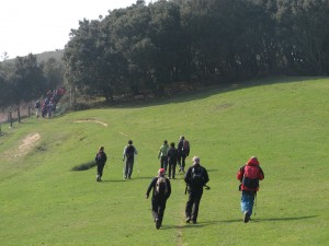 Trintxer Mendi Taldearen irteera bat, 2012koa