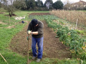 Petra Lekuona zaharren egoitzan du Arraztalok eremu bat