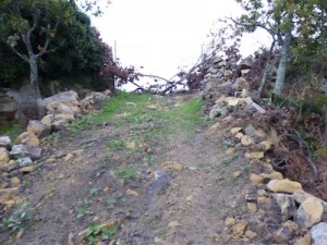 Mukitar-Muttar eremua