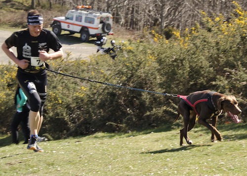 Errenteriako Txakurkrosa