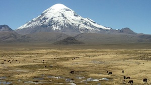 Boliviako altiplanoa