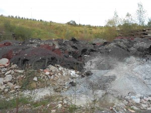 Zaldunbordako zabortegia