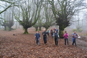 andatik Legutianora, basotik