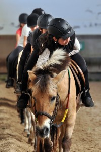 Ez da maila jakinik behar