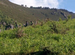 Guardia Zibila Aritxulegin