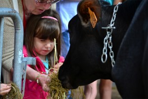 Behiekin gozatu dute txikienek