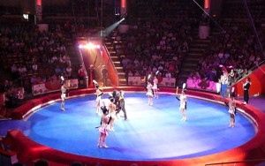 Itxura hau emango diote Abaraxkakoek Oiartzuni larunbatean