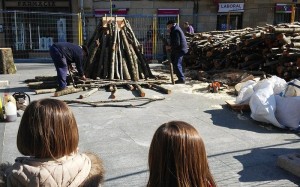 Bisitari asko ari da jasotzen txondorra