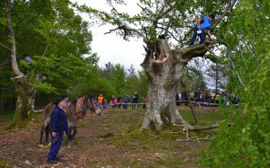 Pago motzak kimatzen