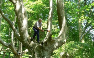 Pago motzak lepatzen