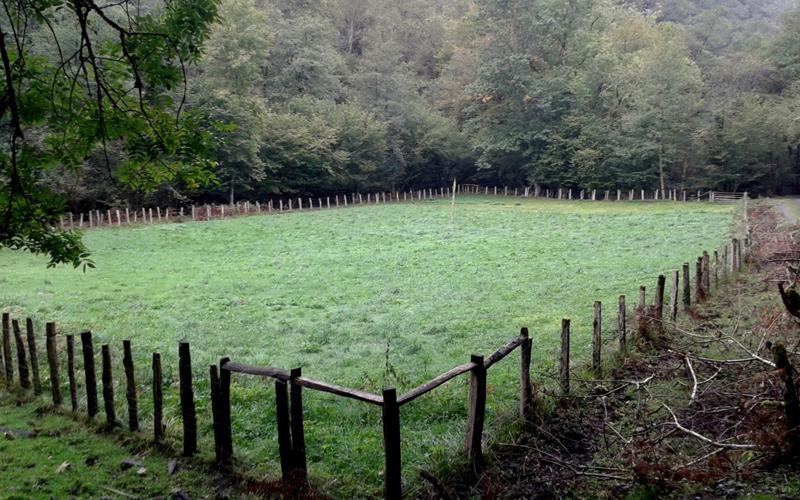 Goizarin (Artikutza) pilotasoroa; gaur egun ardiak sartzeko erabiltzen da. Argazkia: Ttxost