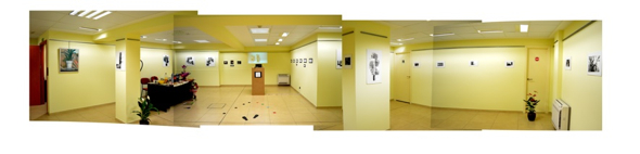 Alexander eta Amaia Camareroren erakusketa