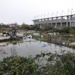 Gal inguruko baratzak