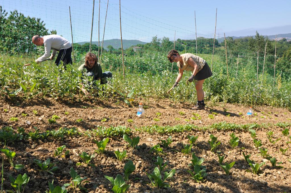 Aldatsa baratza taldea