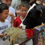 Irun Baserritar Eguna