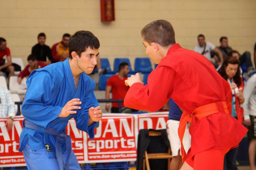 Ander Palavecino sambo