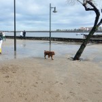 Denboralea Hondarribian