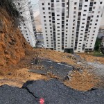 Luizia Farolako bidean