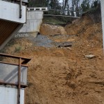 Luizia Farolako bidean