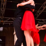 Dantzaren Nazioarteko Eguna 2014