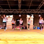 Dantzaren Nazioarteko Eguna 2014