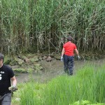 Marealta auzolanean garbitzen ari dira