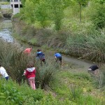 Marealta auzolanean garbitzen ari dira