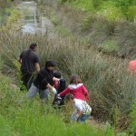 Marealta auzolanean garbitzen ari dira