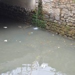 Marealta auzolanean garbitzen ari dira