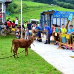 Ergoien auzoko jaiak