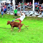 Ergoien auzoko jaiak