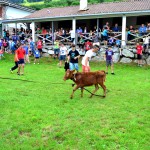 Ergoien auzoko jaiak