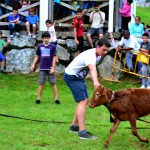 Ergoien auzoko jaiak