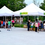 Braillearen inguruko nozioak jaso dituzte ikasleek