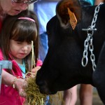 Behiekin gozatu dute txikienek