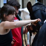 2014ko Baserritar Eguna