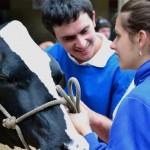 2014ko Baserritar Eguna