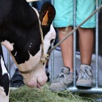 2014ko Baserritar Eguna