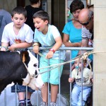 2014ko Baserritar Eguna