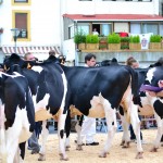 2014ko Baserritar Eguna