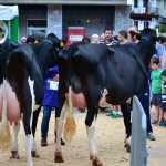 2014ko Baserritar Eguna