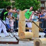 2014ko Baserritar Eguna