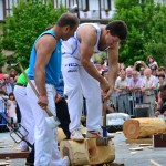 2014ko Baserritar Eguna