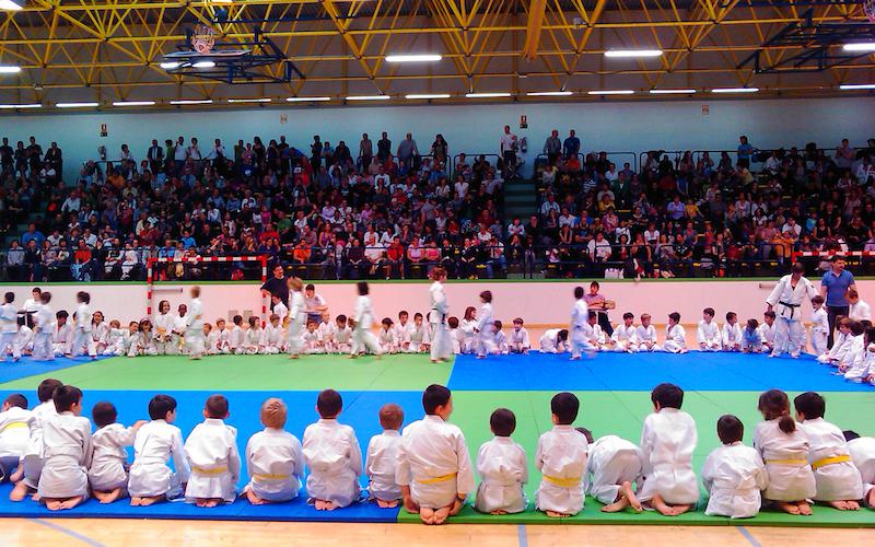judo sayoa jaialdia