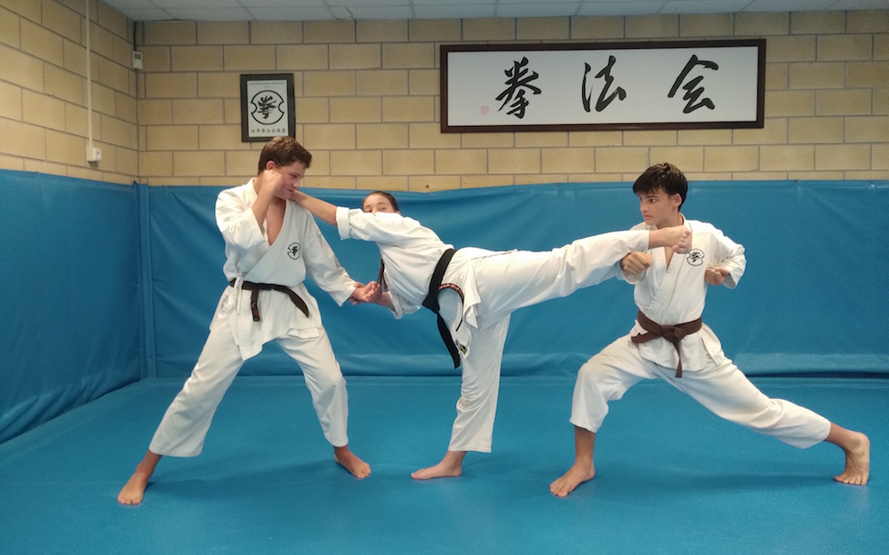 honbu kenpo kai 2019