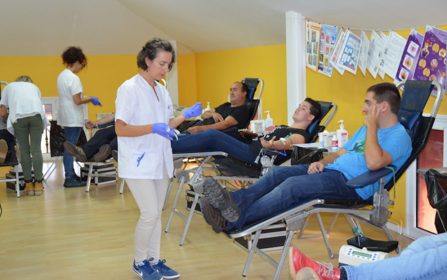 odol ematea oiartzun urria 2019