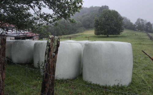 silo plastikoak 2021