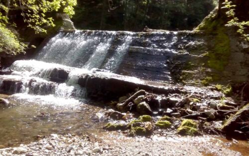 Galtzaraberri ibai presa ere eraitsiko du Aldundiak.