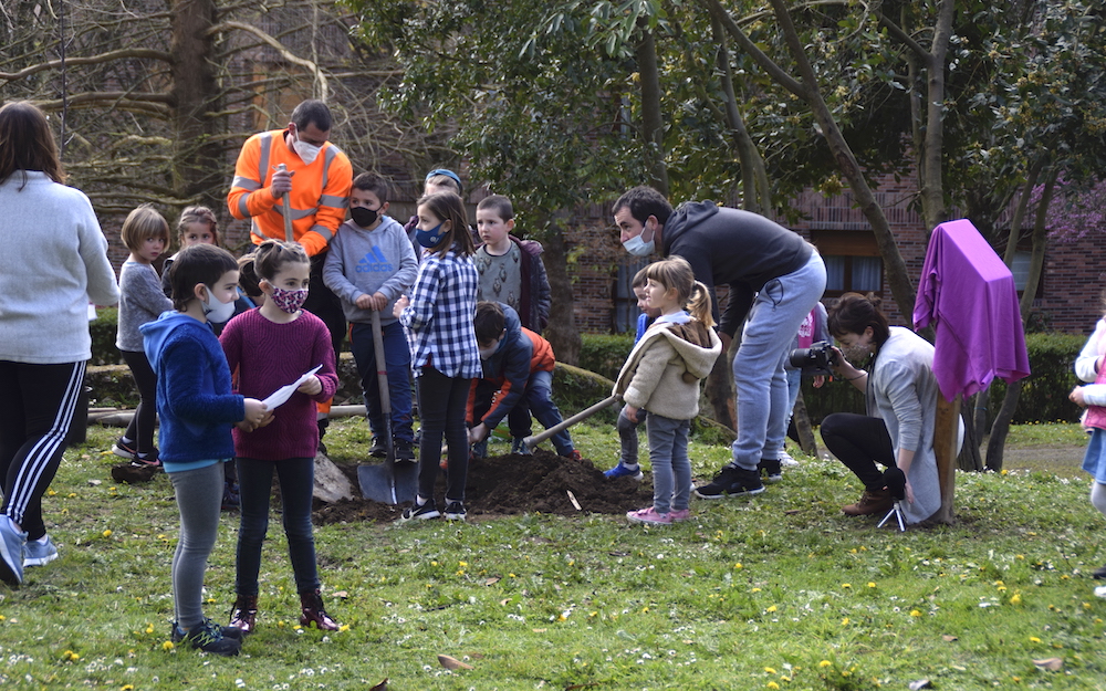 memoriaren intxaurrondoa