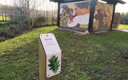 zuhaitzak identifikatzeko plakak oiartzun